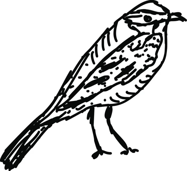 Vektorová Ilustrace Ptáka — Stockový vektor