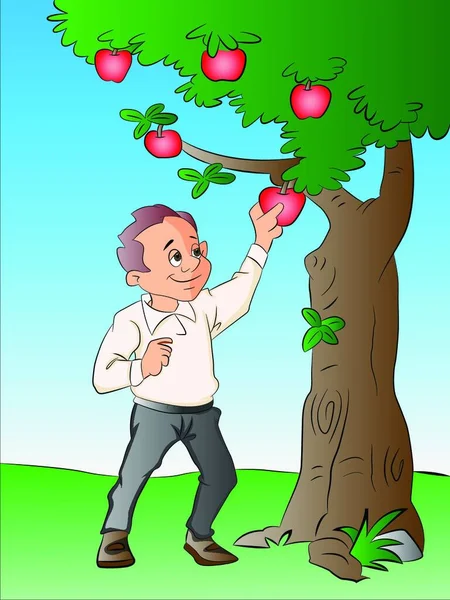 Homme Cueillant Des Pommes Dans Arbre Illustration Vectorielle — Image vectorielle