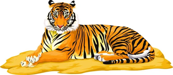 Ilustración Vectorial Del Tigre — Vector de stock