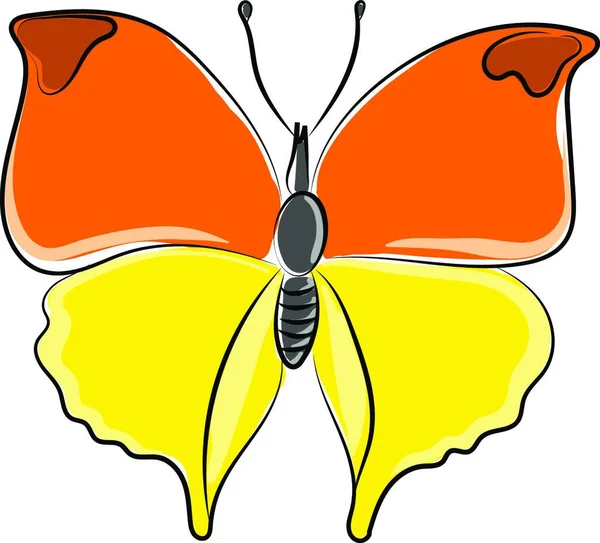 Πεταλούδα Λευκό Φόντο — Διανυσματικό Αρχείο