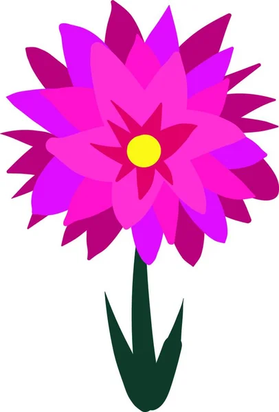 Dahlia Plana Ilustración Vector Sobre Fondo Blanco — Archivo Imágenes Vectoriales