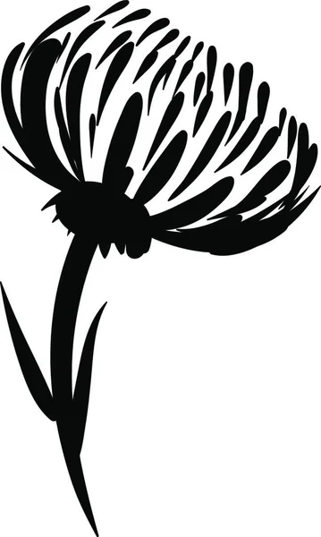 Dahlia Croquis Illustration Vecteur Sur Fond Blanc — Image vectorielle