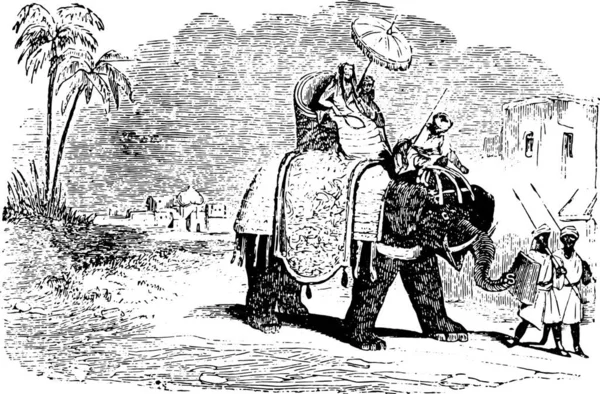 Turyści Przejażdżce Słoniu Grawerowana Ilustracja Stylu Vintage Animaux Sauvages Domestiques — Wektor stockowy