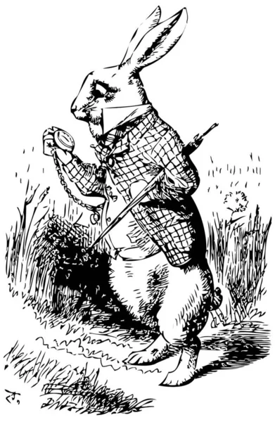 Ilustración Una Liebre Conejo Alicia País Las Maravillas Mirando Reloj — Archivo Imágenes Vectoriales