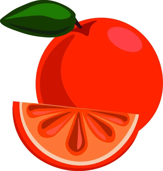 Orange Frukt Illustration Vektor Vit Bakgrund — Stock vektor