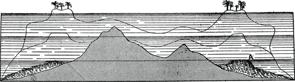 Sezione Verticale Attraverso Isola Corallina Che Mostra Sue Fasi Successive — Vettoriale Stock