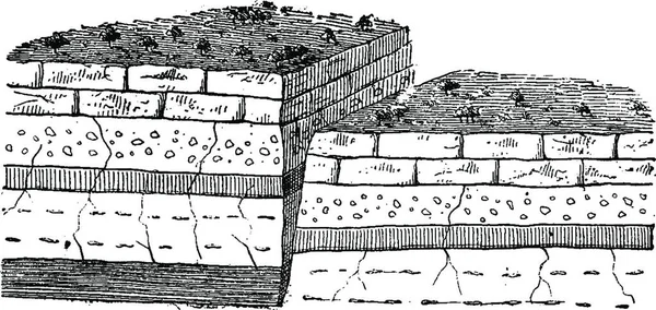 빈티지 새겨진된 1886 — 스톡 벡터