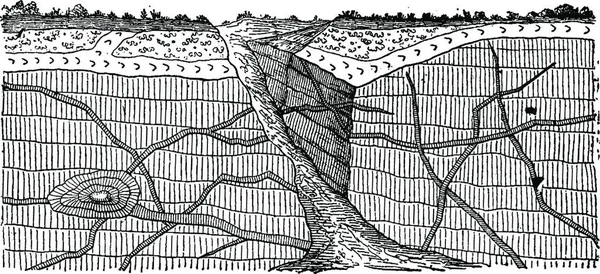 Illustration Vectorielle Une Grille Filet Pêche — Image vectorielle