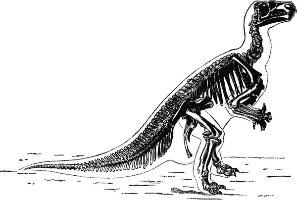 恐竜のイラストです — ストックベクタ