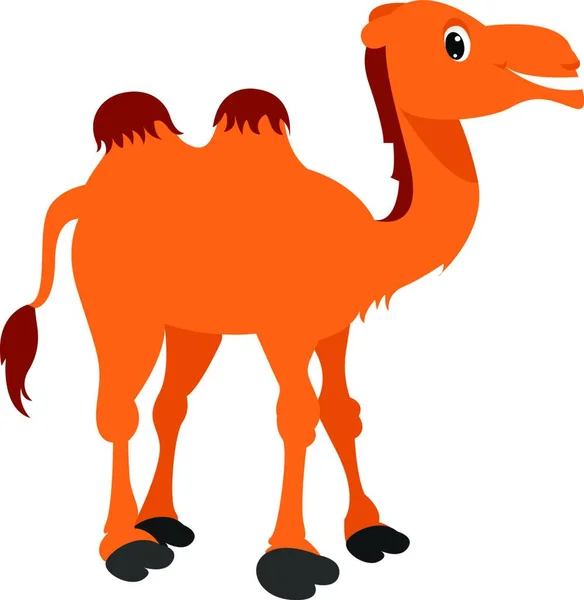Απεικόνιση Καμήλας — Διανυσματικό Αρχείο