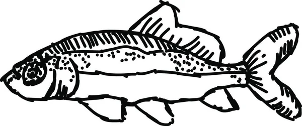 Dit Een Illustratie Van Een Vis — Stockvector