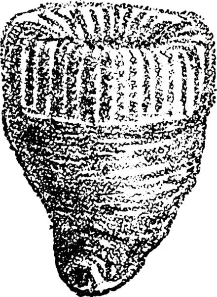 Ilustración Tallada Madera Árbol — Archivo Imágenes Vectoriales