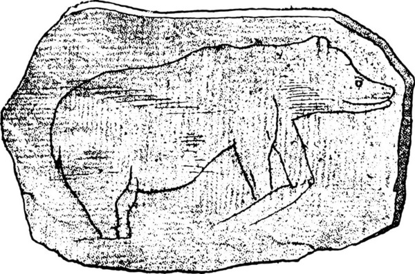 Малюнки Великих Ведмедів Камені Зібрані Печері Масат Від Природного Створіння — стоковий вектор