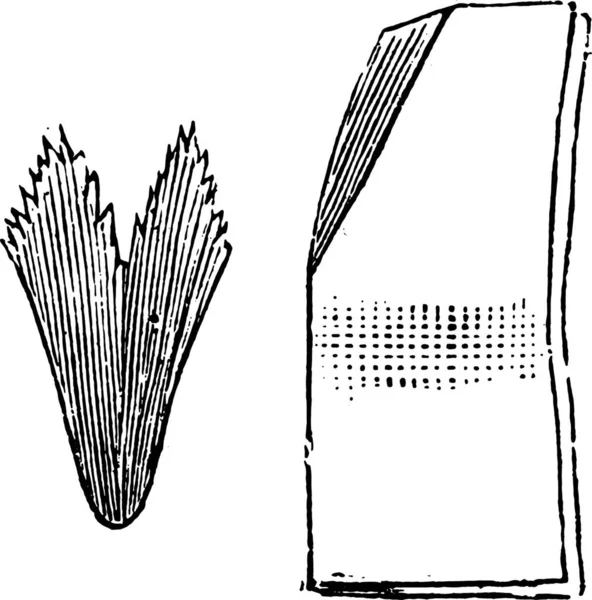 Способ Сложить Фильтровальную Бумагу Винтажная Завитая Иллюстрация — стоковый вектор
