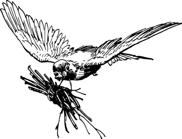 鳥は木を取り ヴィンテージの刻まれた図 それと残念なことに家に飛んで — ストックベクタ