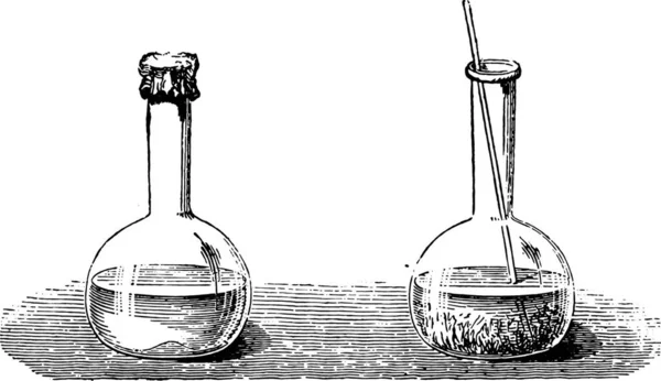 Sofortige Kristallisation Von Natriumsulfat Gravierte Illustration Magasin Pittoreske 1867 — Stockvektor