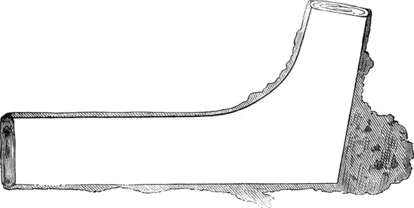 如何一棵树制成板材 一侧结束部分 复古刻图 勒玛佳欣 Pittoresque Larive 和弗洛瑞 1874 — 图库矢量图片