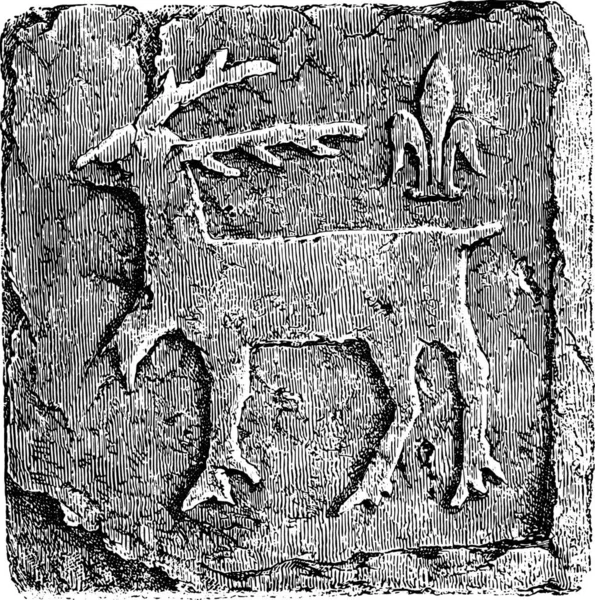 Πήλινο Πλακίδιο Ακάλυπτο Από Κάστρο Grainetiere Vendee 13Ος Αιώνας — Διανυσματικό Αρχείο