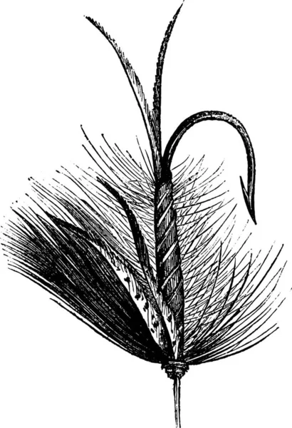 Illustration Einer Pflanze Mit Einer Schwarz Weiß Zeichnung — Stockvektor