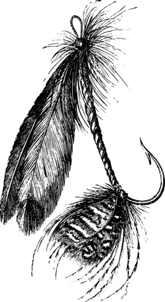 Другая Форма Искусственной Мухи Винтажная Гравированная Иллюстрация Магасин Питтореске 1867 — стоковый вектор