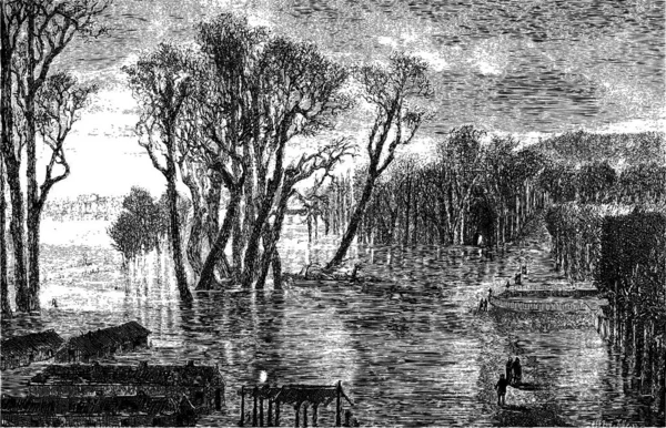 1872年 1873 年冬季期间的防洪屏障 Sellier 复古刻的图 玛佳欣 Pittoresque 1874 — 图库矢量图片