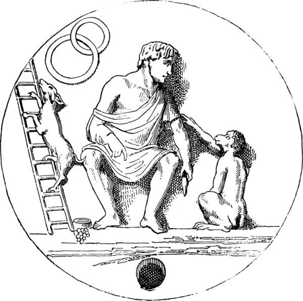원숭이 빈티지 새겨진된 그림에 Pittoresque 1878 — 스톡 벡터