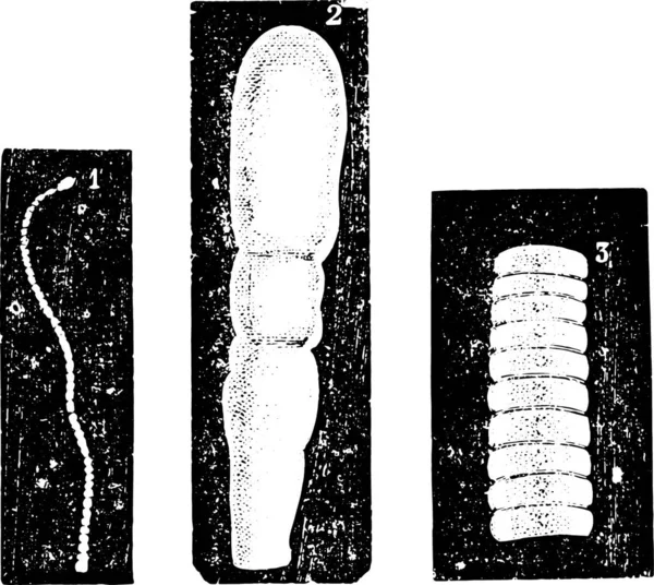 グランジのパターンに悩まされ — ストックベクタ