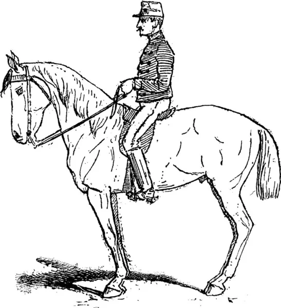 Rassembler トレーニング ヴィンテージの刻まれたイラストながら馬の移動性を高めるために意図運動 辞書の単語と物事を Larive 1895 — ストックベクタ