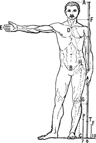 Illustrazione Vettoriale Uomo Tuta — Vettoriale Stock