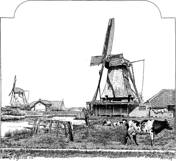 Mills Zaandam Hollanda Vintage Kazınmış Şekil Sözlük Kelimeler Şeyler Larive — Stok Vektör