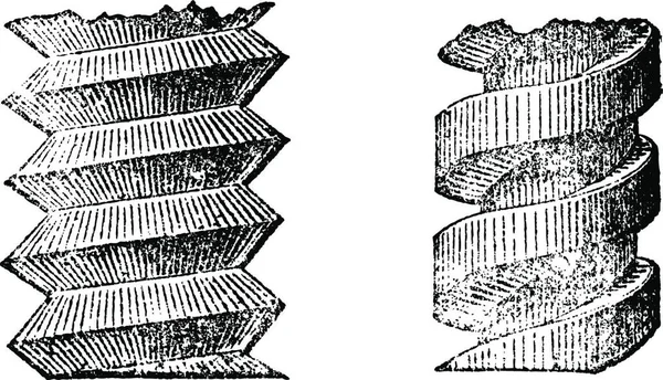 Sada Vektorových Ilustrací Ručně Kresleného Náčrtku Stromu — Stockový vektor