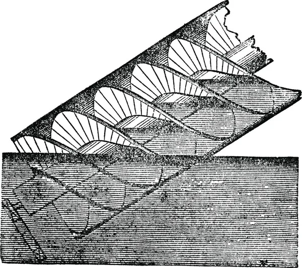 アルキメデスのねじまたはアルキメデスのねじまたは用いた ヴィンテージの図は刻まれました マガシンドス Pittoresque 1875 — ストックベクタ