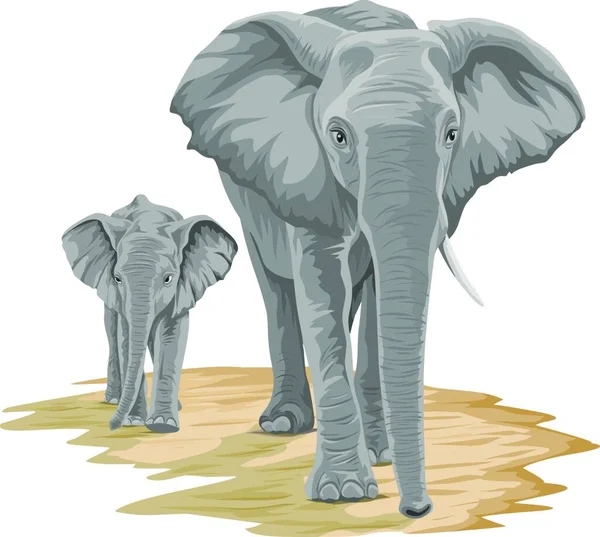 Illustration Vectorielle Éléphant Marchant Avec Veau — Image vectorielle