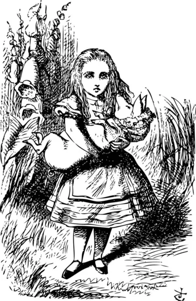 Alice Bébé Cochon Alice Adventures Wonderland Gravure Vintage Originale Cette — Image vectorielle