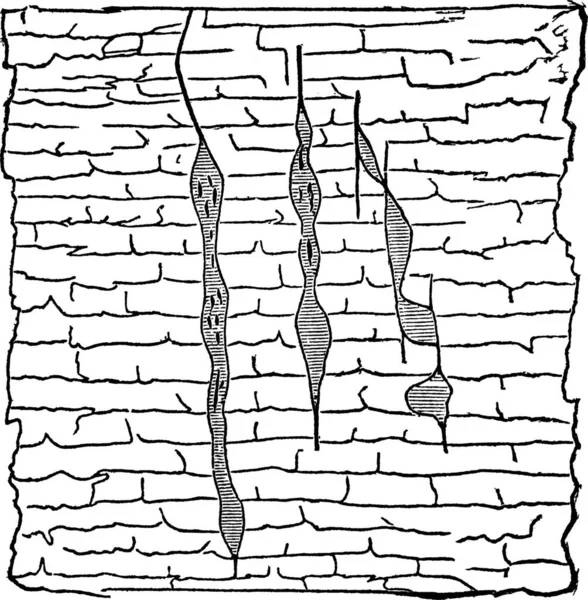 Vena Geologica Illustrazione Con Venature Verticali Minerale Piombo Ombreggiata All — Vettoriale Stock