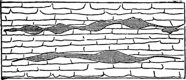 Żyła Geologiczna Ilustracja Ukazująca Poziome Żyły Rozcięte Zacienione Obrębie Wapienia — Wektor stockowy