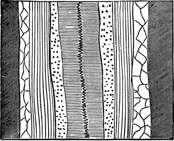 Patrón Sin Costuras Con Líneas Dibujadas Mano Ilustración Vectorial — Archivo Imágenes Vectoriales