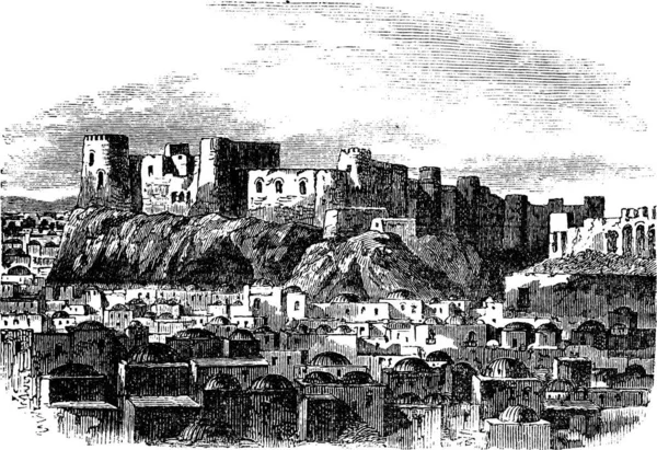 赫拉特城堡 阿富汗古埃及雕刻品 1800年代赫拉特城堡的古老雕刻图解 — 图库矢量图片
