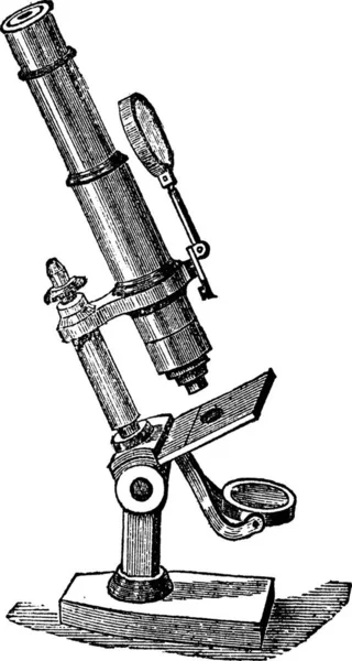 Microscop Ilustrație Gravată Vintage Vector Fundal Alb — Vector de stoc