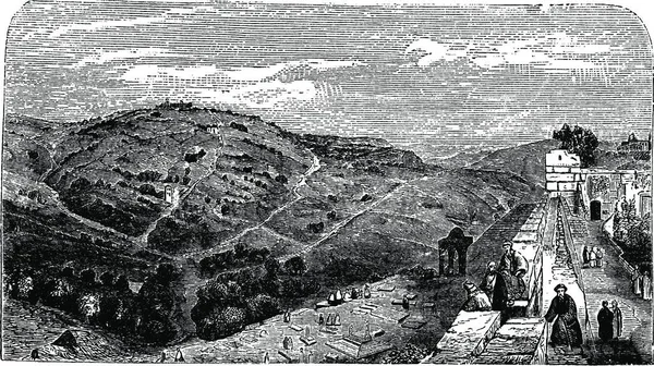 Monte Los Olivos Visto Desde Valle Jerusalén Ilustración Grabada Vintage — Archivo Imágenes Vectoriales