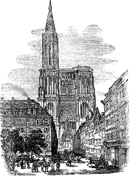 스트라스부르 대성당 Strasbourg Cathedral 프랑스 스트라스부르의 대성당 Cathedral Our Lady — 스톡 벡터