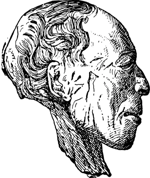 Голова Мумии Снятая Бинтов Винтажные Гравированные Иллюстрации — стоковый вектор