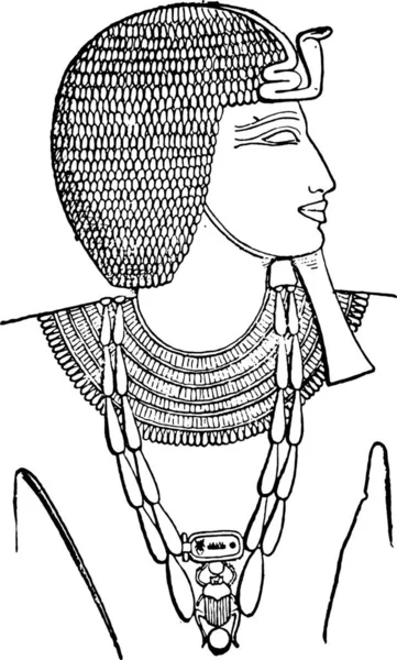 Collier Sur Cou Pharaon Illustration Gravée Vintage Vie Privée Famille — Image vectorielle