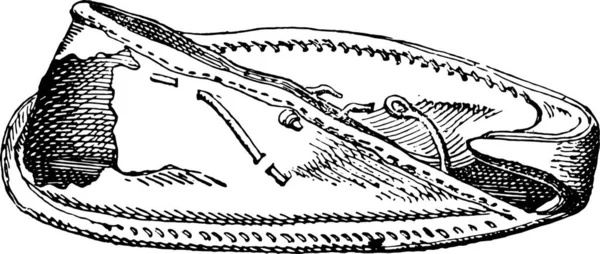 足裏でエジプトの靴 ヴィンテージ刻まれた図 — ストックベクタ
