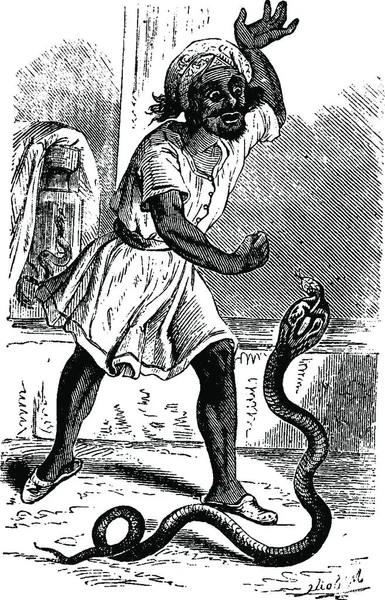 Snake Charmer Ilustración Grabada Vintage Vie Dans Nature 1890 — Vector de stock
