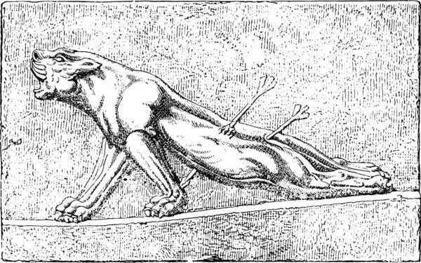 Иллюстрация Представляет Собой Изображение Волка — стоковый вектор