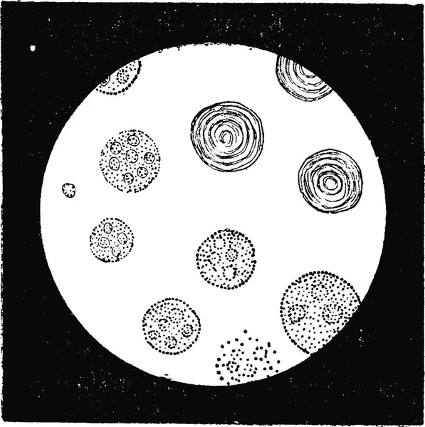 月や星との抽象的な背景 — ストックベクタ