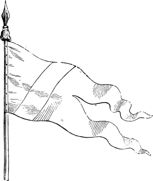 Flagga Delstaten Amerikas Förenta Stater — Stock vektor