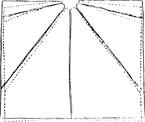 Rectangle Taille Bois Moment Abattage Bois Déformé Par Dessiccation Illustration — Image vectorielle