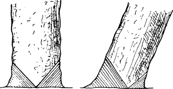 砍伐斧头 在正确的树上 树倾斜 老式雕刻插图 — 图库矢量图片